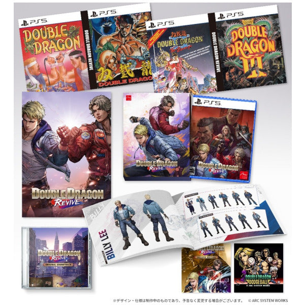 Collection of Double Dragon video game cases and promotional materials on a white background