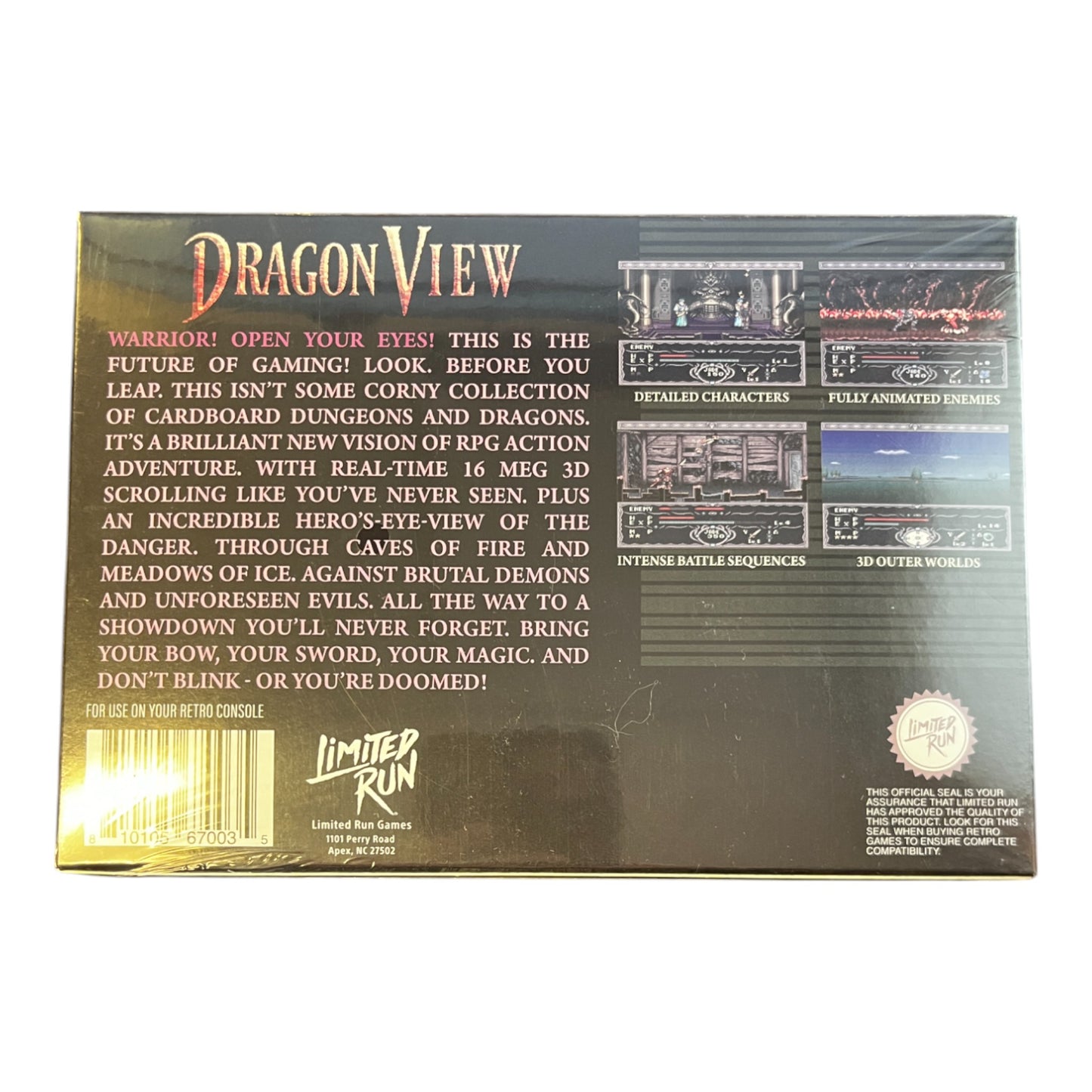 Dragon View (SNES)