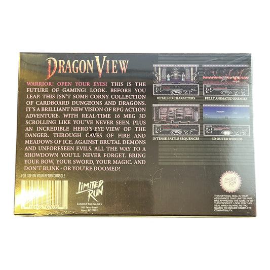 Dragon View (SNES)