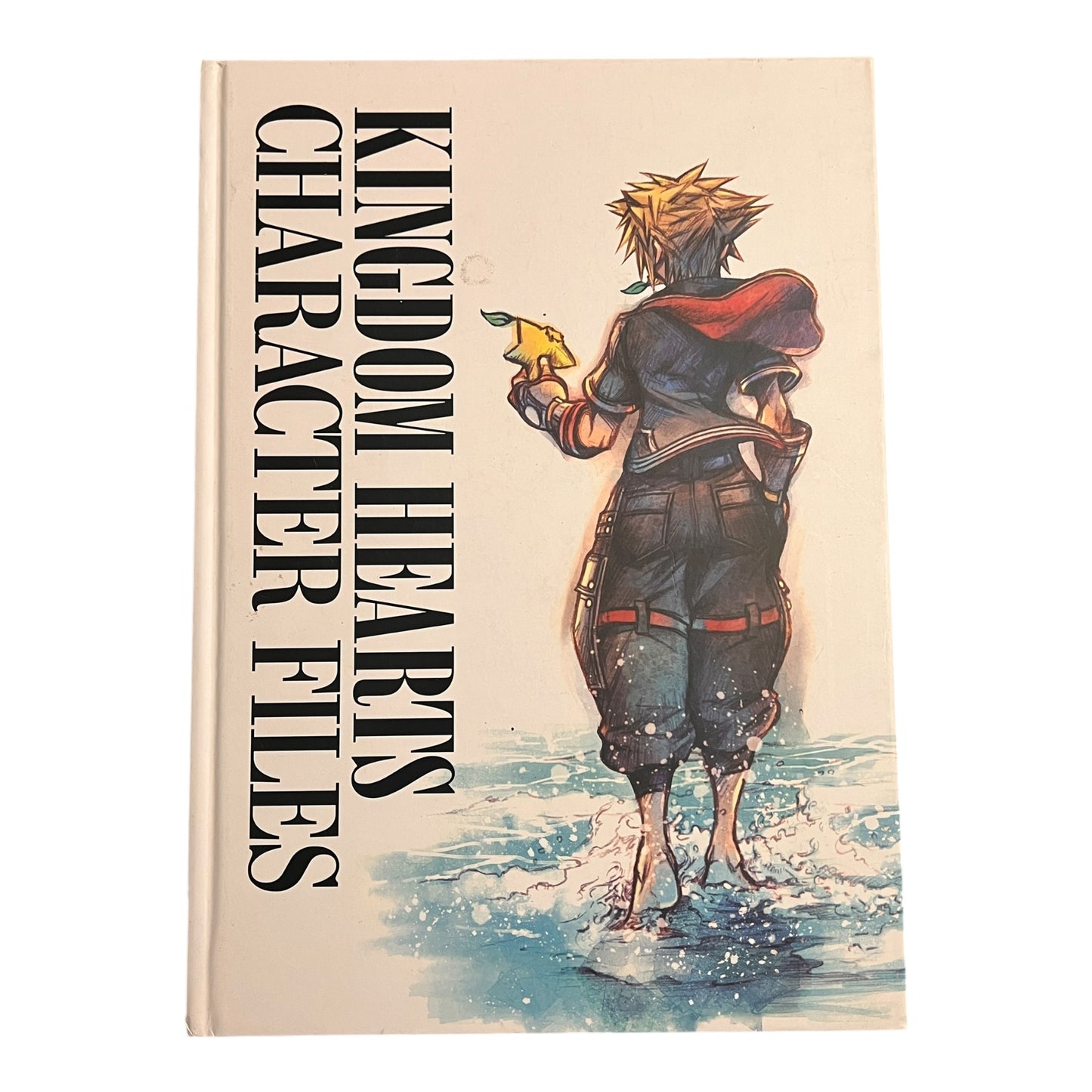 Kingdom Hearts Character Files