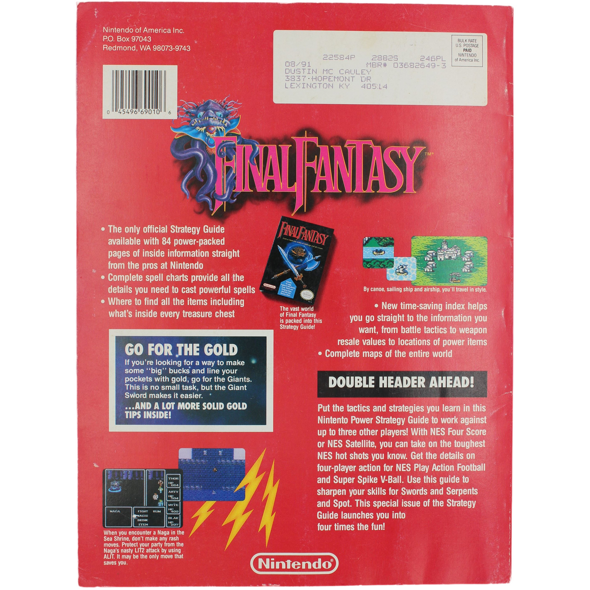 Final Fantasy: Official Strategy Guide (NES)
