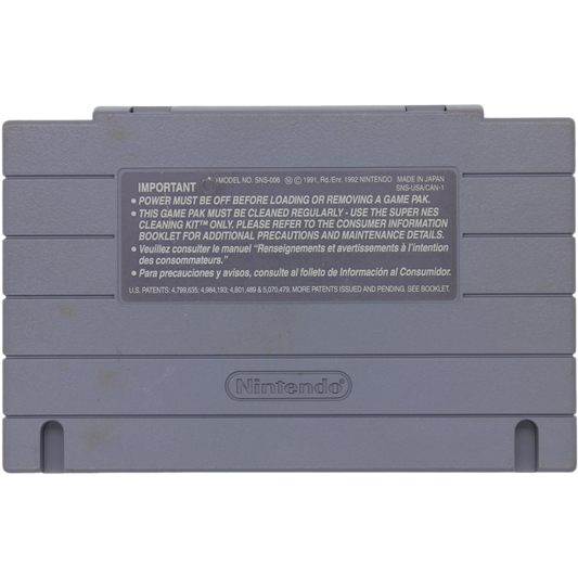 Double Dragon V: The Shadow Falls