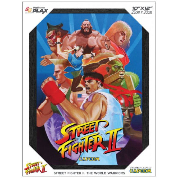 Street Fighter II: World Warriors 3D Pixel Frame