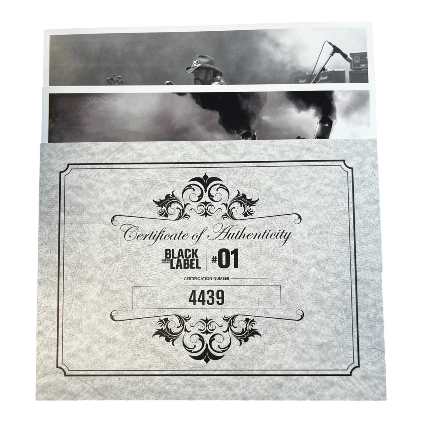 Black Label: Victor Vran (Switch)