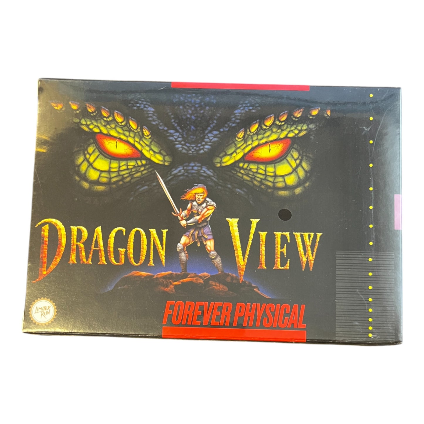 Dragon View (SNES)