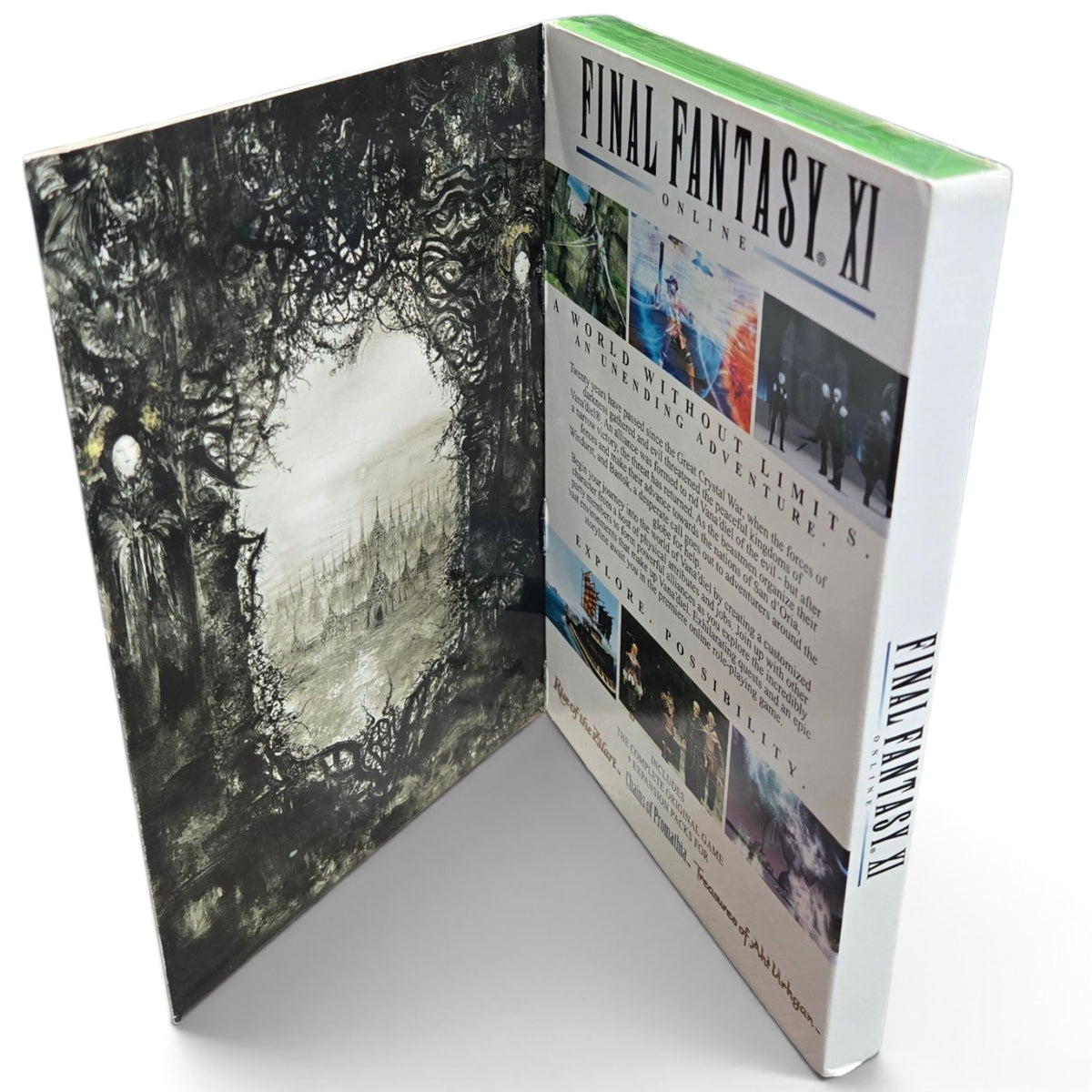 Final Fantasy XI Online (Xbox 360)