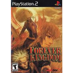 PlayStation 2 game cover for 'Forever Kingdom' with characters and title.