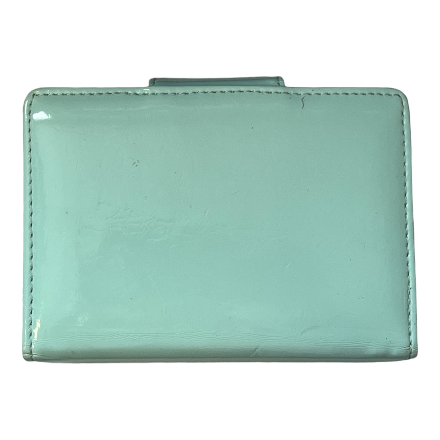 Nintendo DS lite (Mint Green) & Case