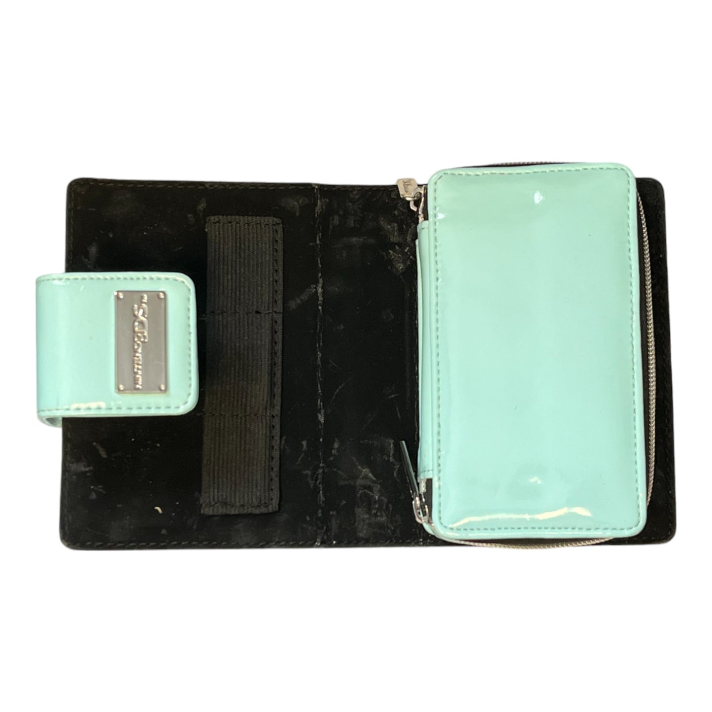 Nintendo DS lite (Mint Green) & Case