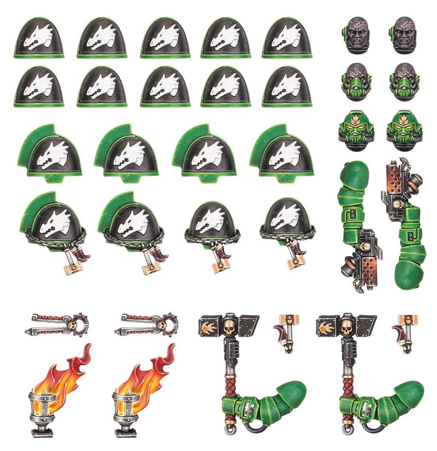 Warhammer 40,000 - Salamanders: Primaris Upgrades and Transfers