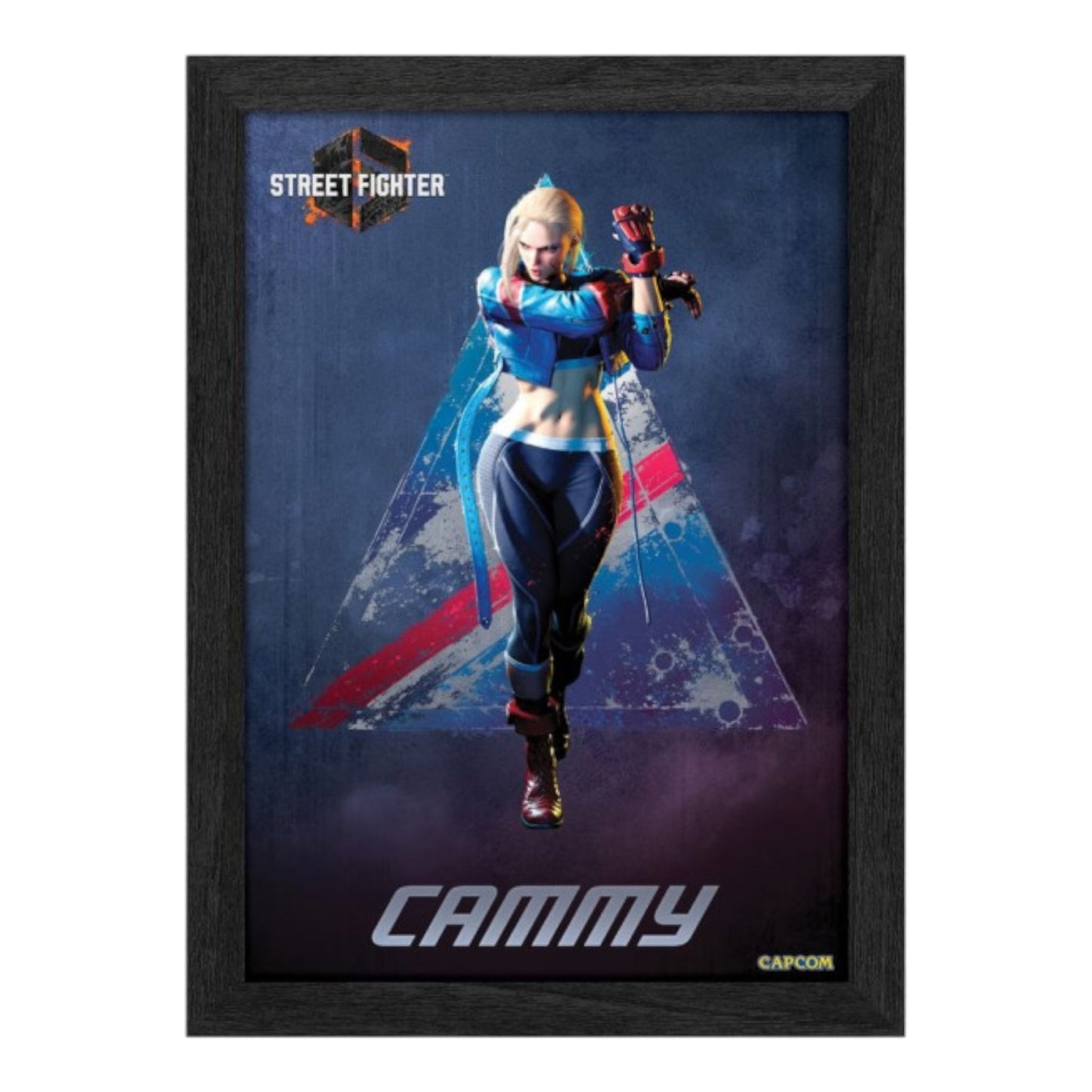 Street Fighter 6: Cammy 10″ X 12″ Lenticular 3D Art (Pixel Frame)