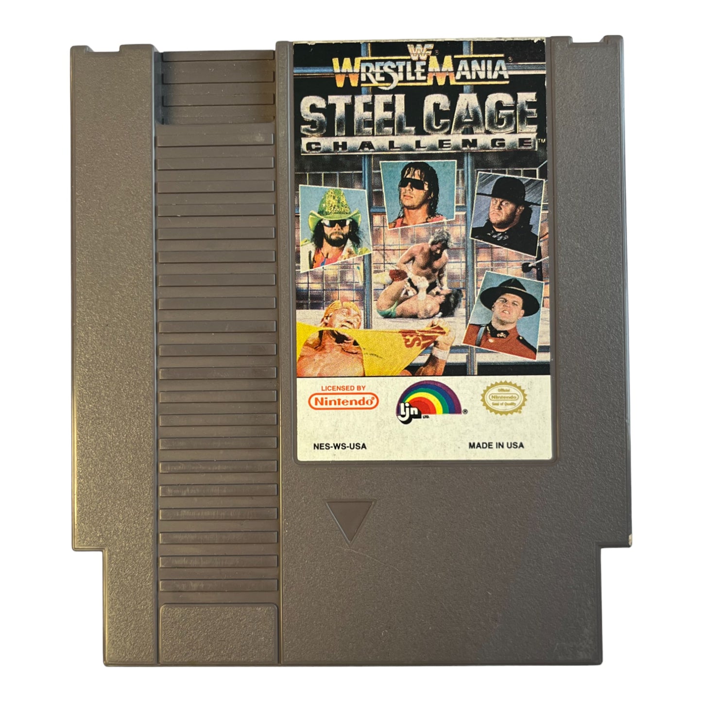 WWF Wrestlemania Steel Cage Challenge (NES)