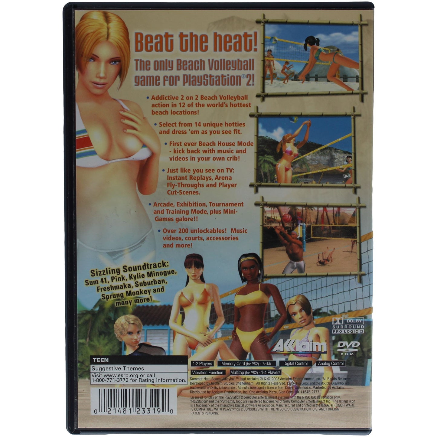 Summer Heat Beach Volleyball