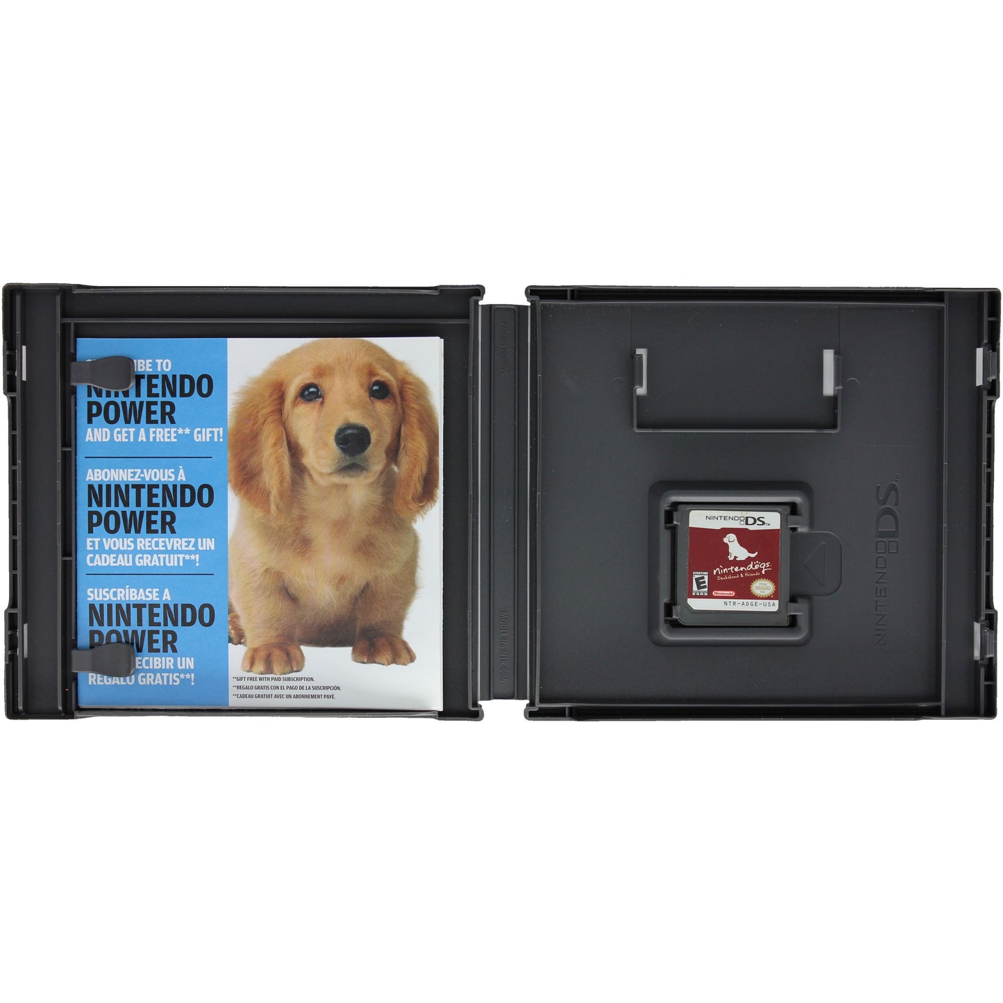 Nintendogs: Dachshund And Friends (DS)