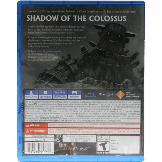 Shadow Of The Colossus (PS4)