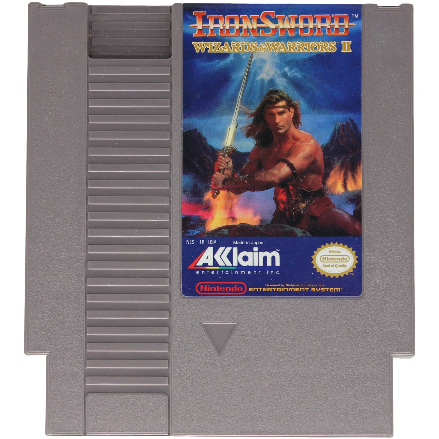 Iron Sword: Wizards & Warriors II (NES)
