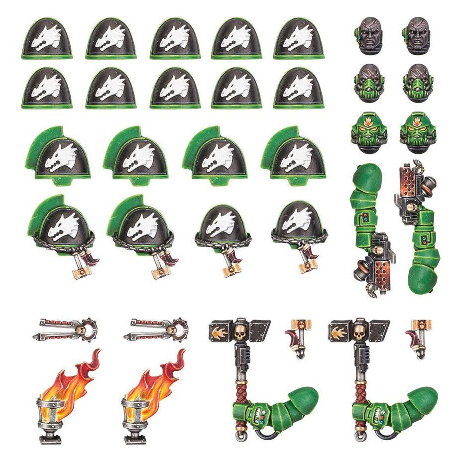Warhammer 40,000 - Salamanders: Primaris Upgrades and Transfers