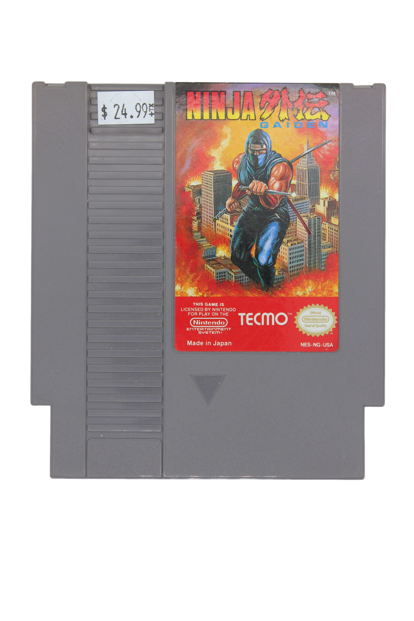 Ninja Gaiden