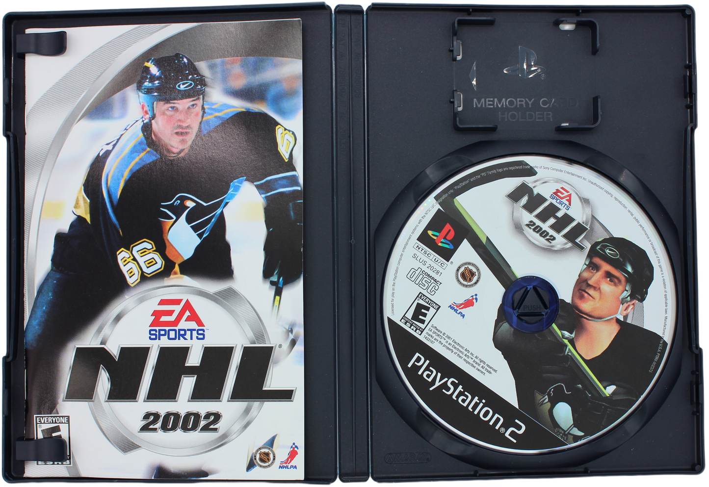 NHL 2002