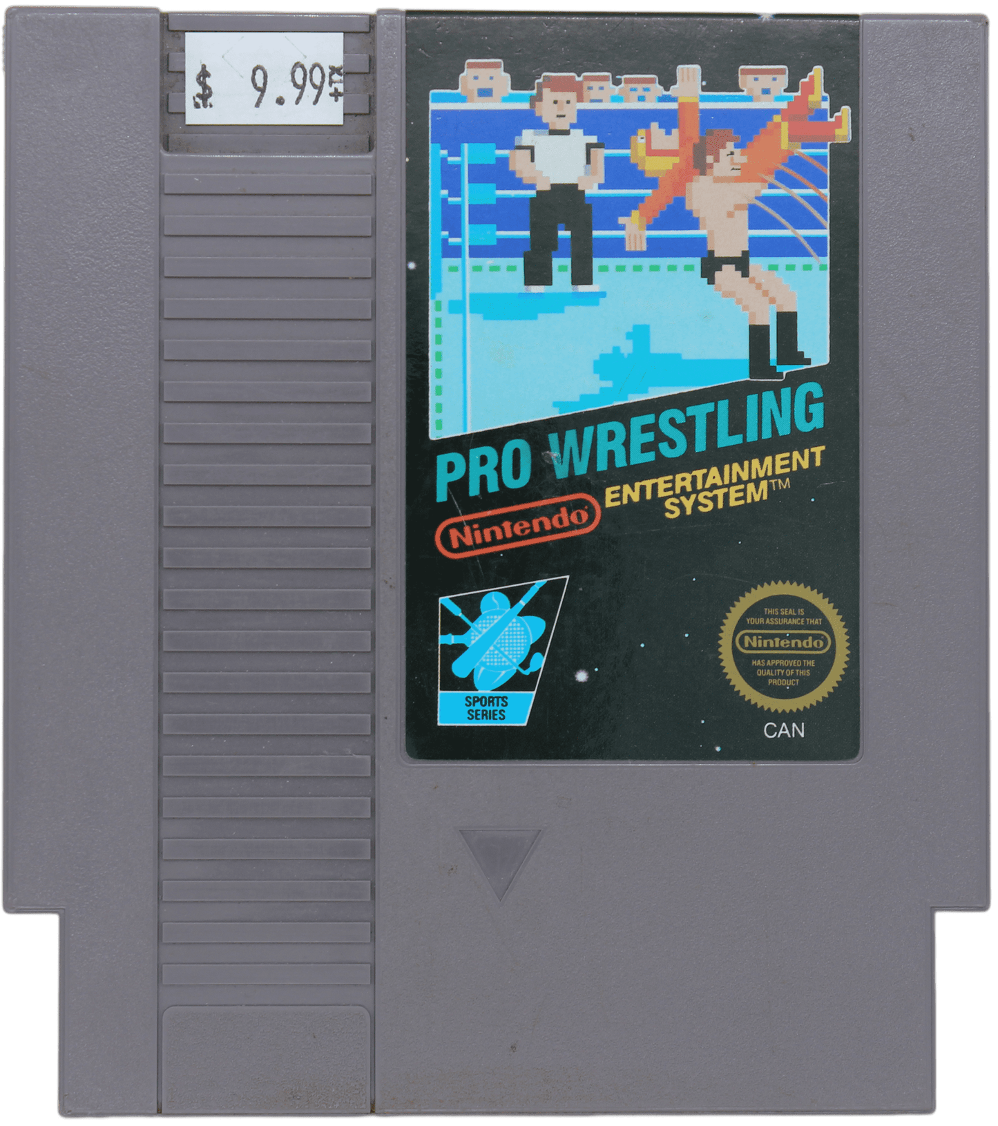 Pro Wrestling