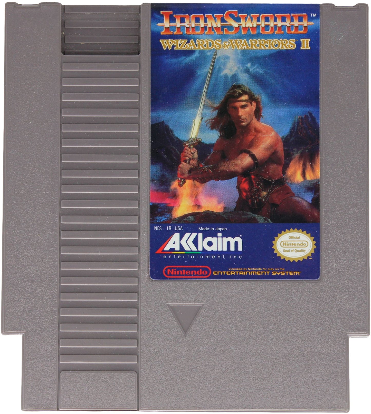 Iron Sword: Wizards & Warriors II (NES)