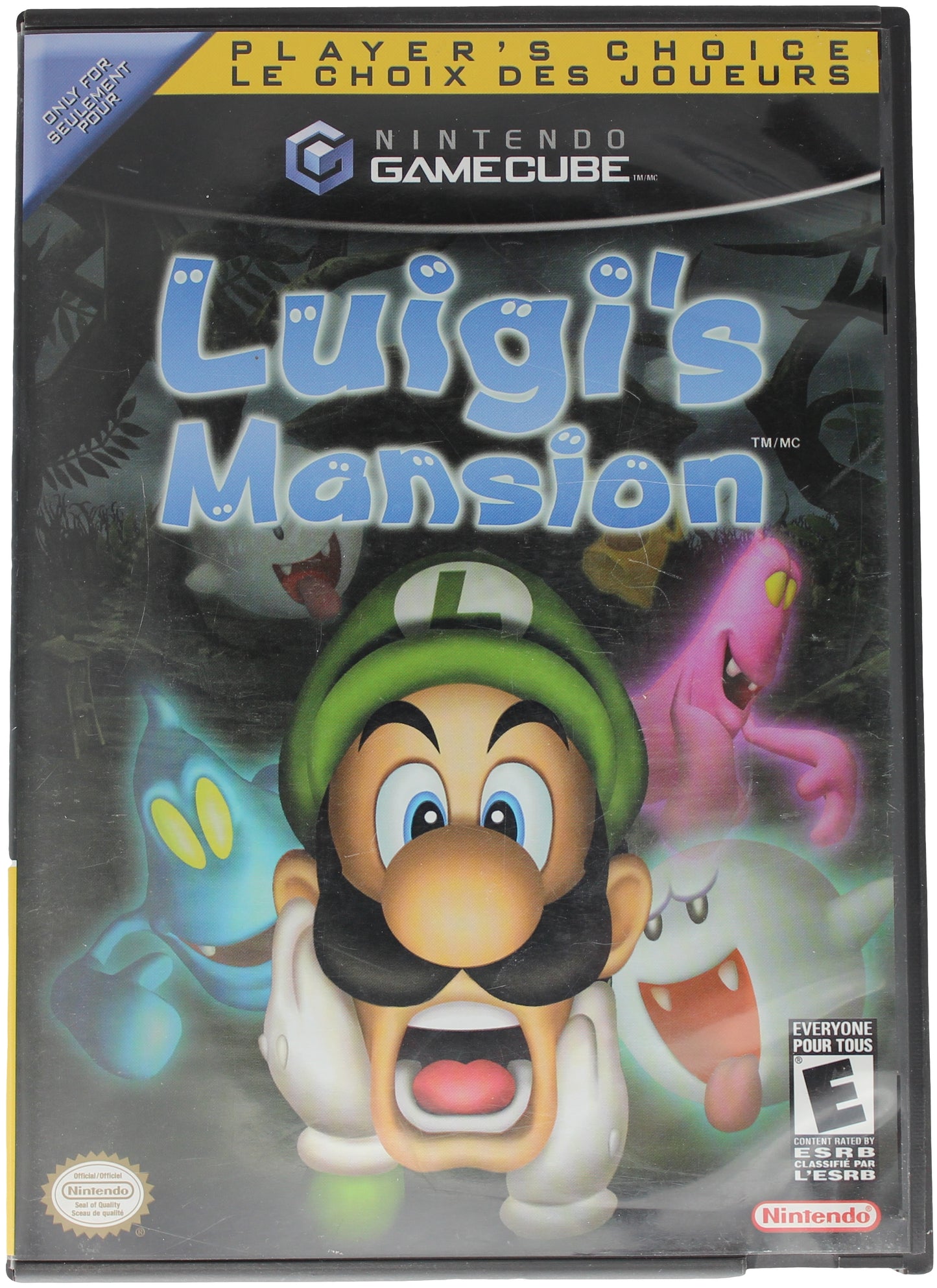 Luigi's Mansion