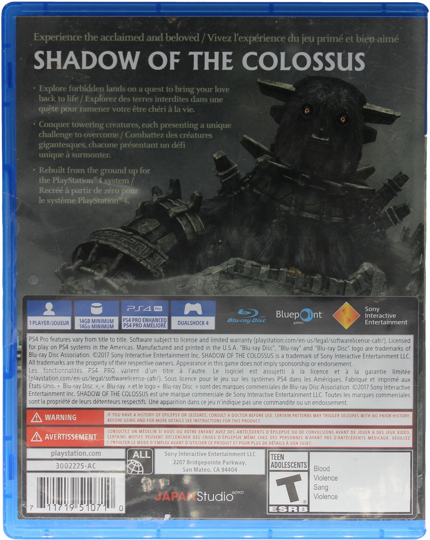 Shadow Of The Colossus